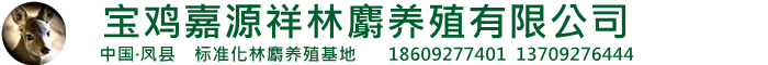 企業(yè)通用模版網(wǎng)站